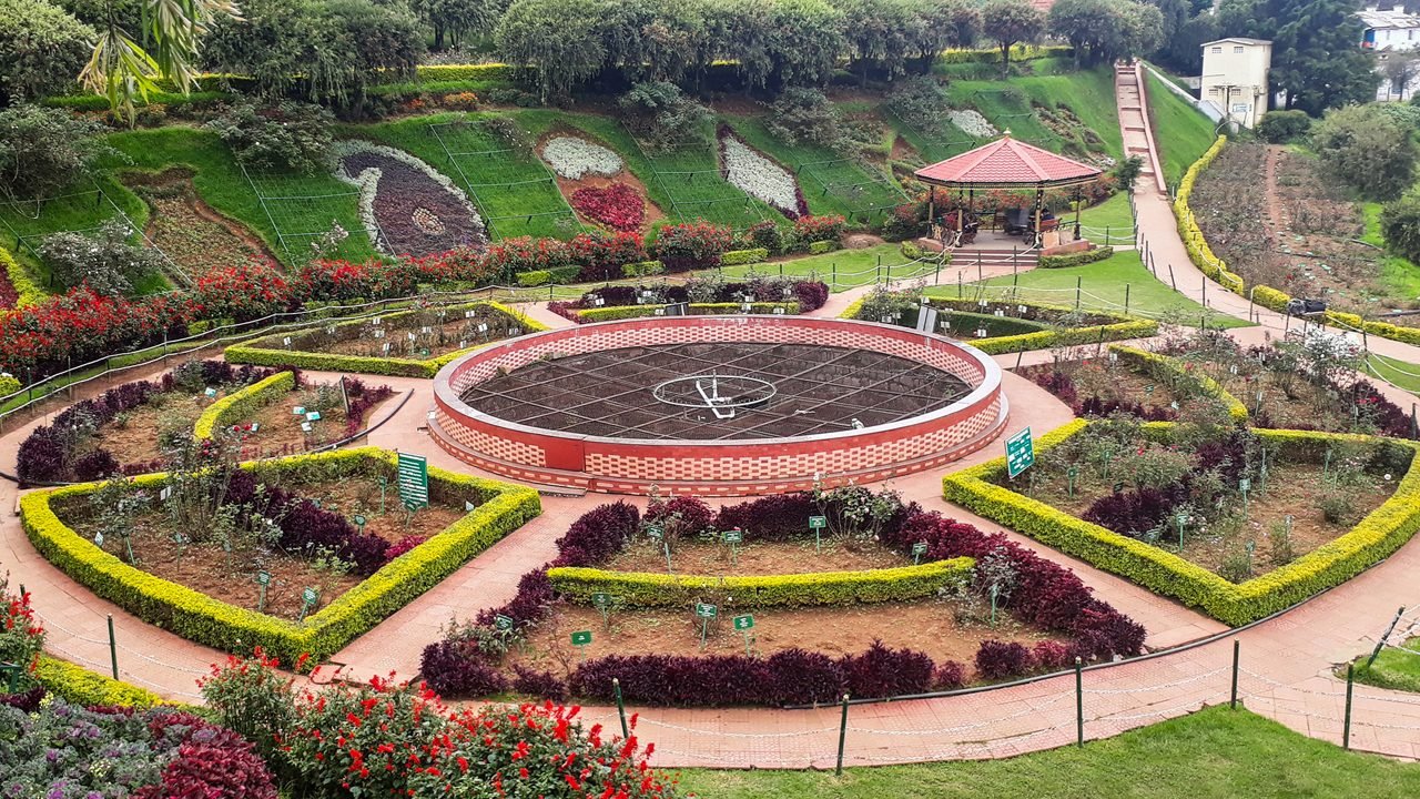 Rose Garden